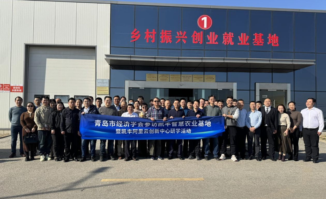 1767146164787689.png 1767146164787689.png