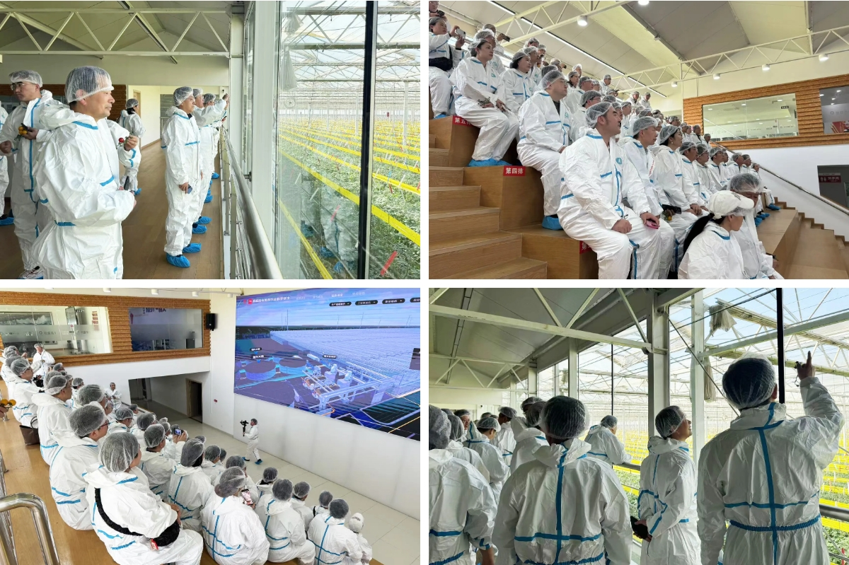 1767146211222530.png 1767146211222530.png